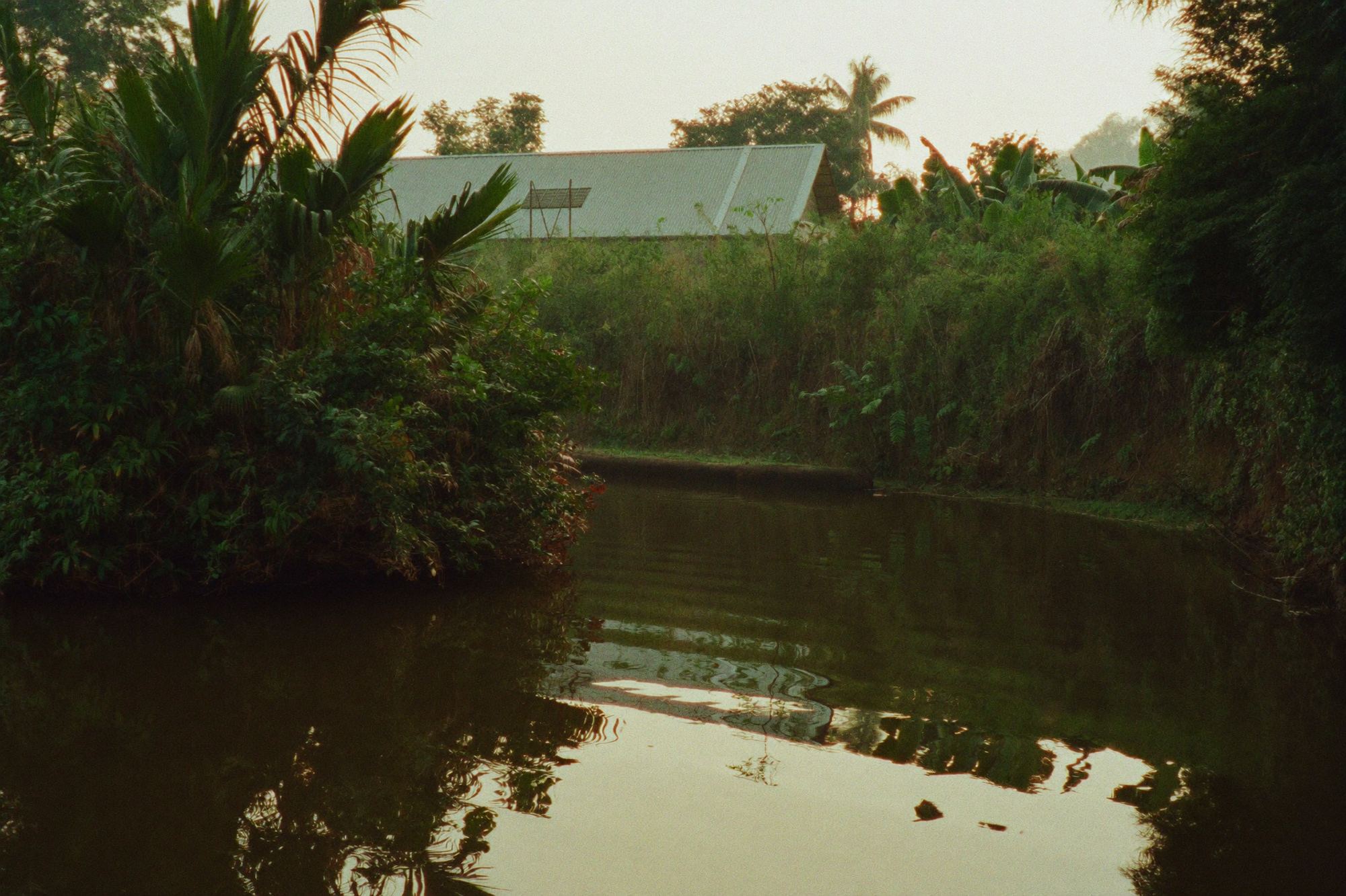 Canal de agua tranquilo rodeado de vegetación tropical junto a la granja